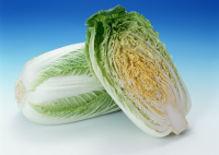 飯田青果　白菜